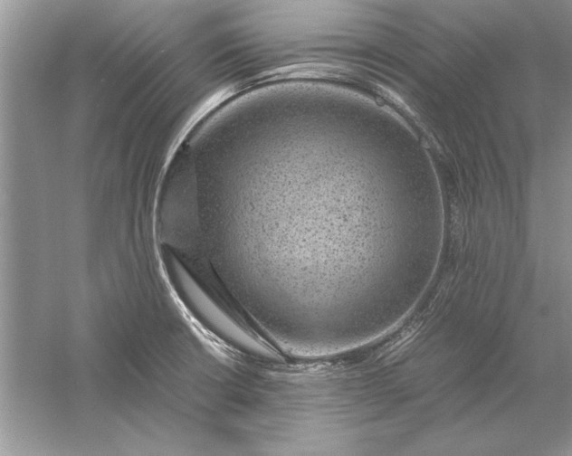 X0000056001426200509092034