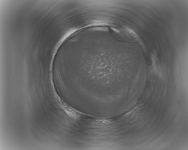 X0000056001427200509092034