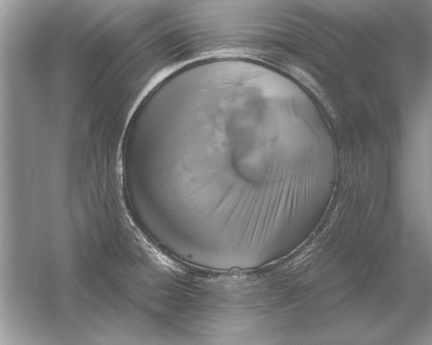 X0000056001428200509092034