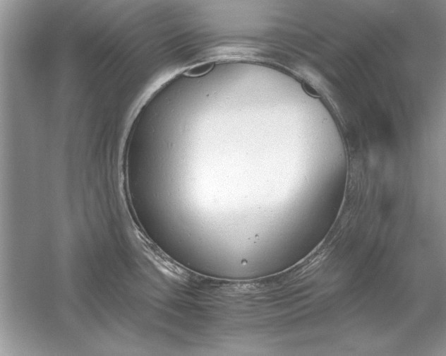 X0000056001435200509092034