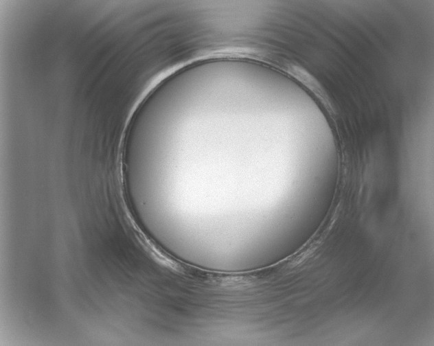 X0000056001436200509092034