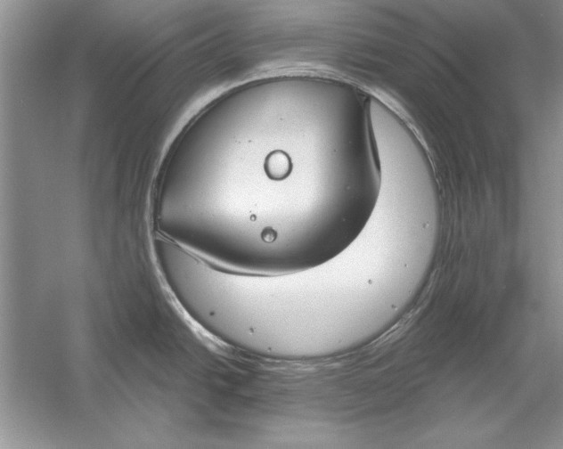 X0000056001438200509092034