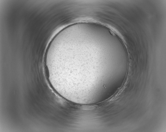 X0000056001440200509092034