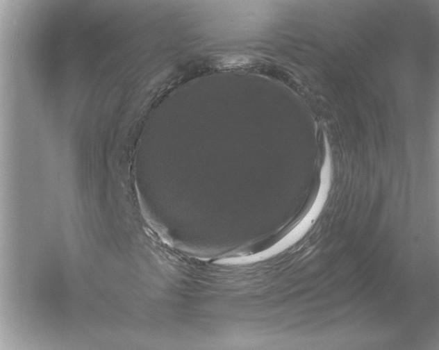 X0000056001441200509092033