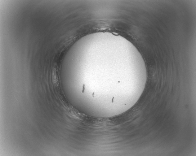 X0000056001442200509092033