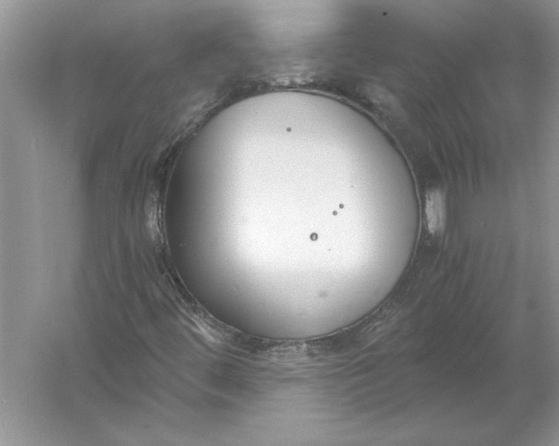 X0000056001444200509092033