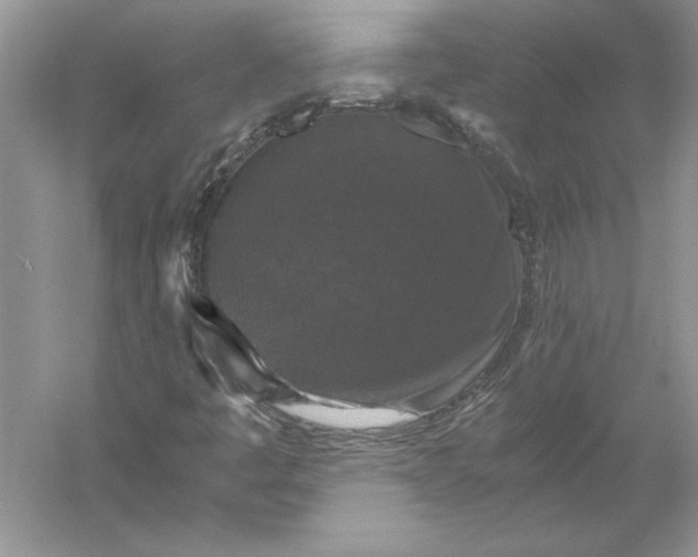 X0000056001445200509092033