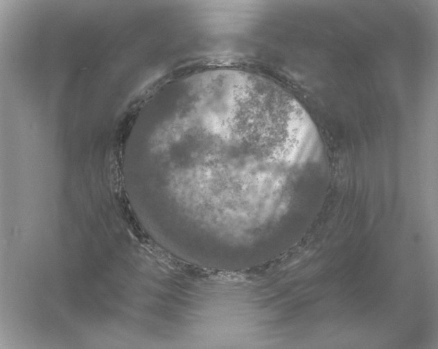 X0000056001446200509092033