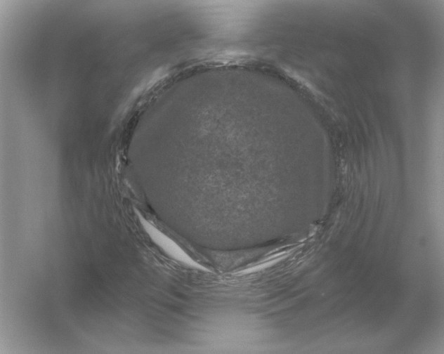 X0000056001447200509092033