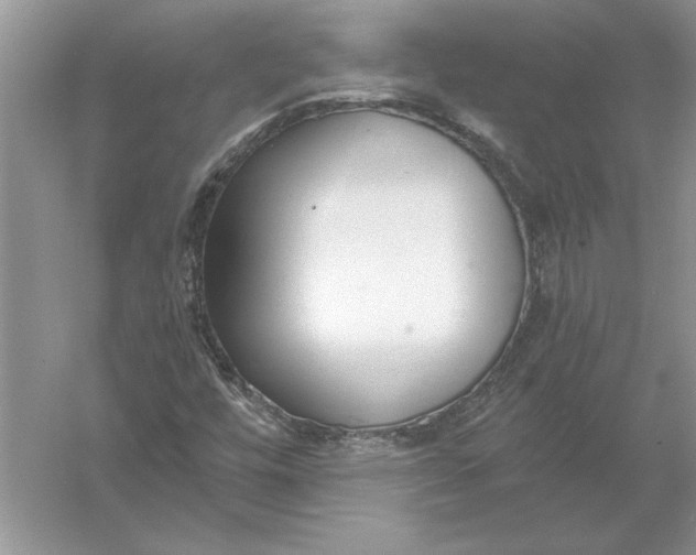 X0000056001448200509092033