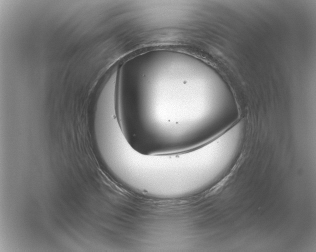 X0000056001449200509092033