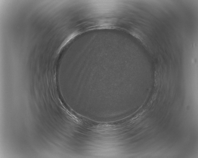 X0000056001450200509092033