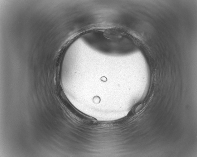 X0000056001451200509092033