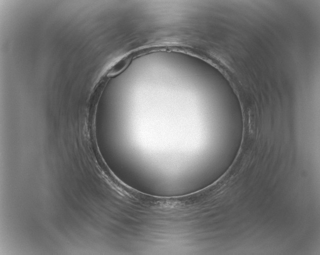 X0000056001452200509092033