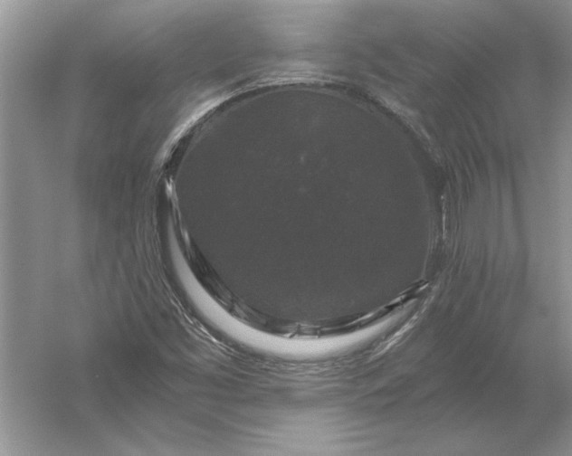 X0000056001453200509092033