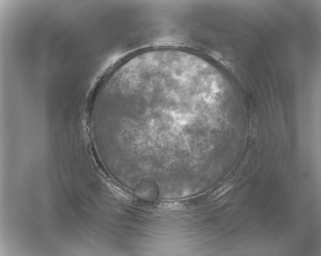 X0000056001454200509092033