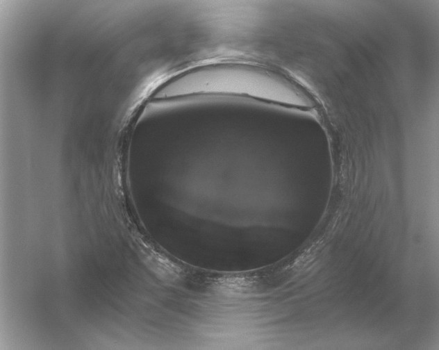 X0000056001455200509092033