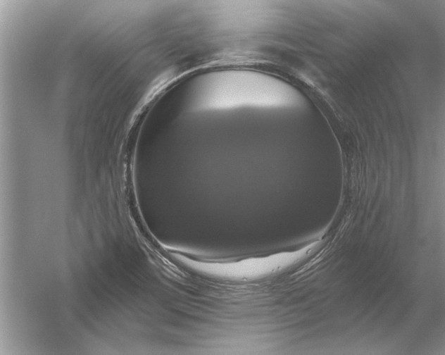 X0000056001459200509092033