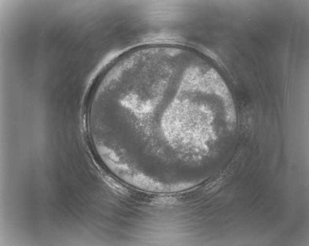 X0000056001462200509092033