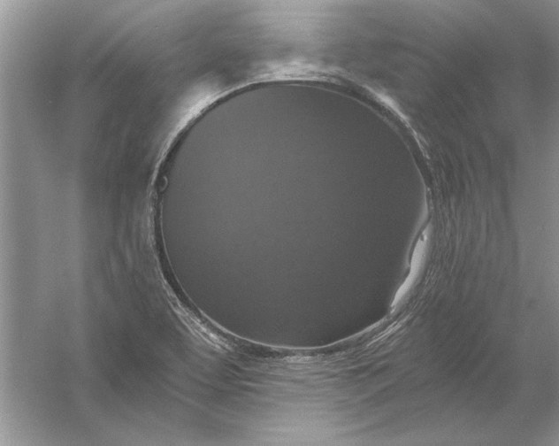 X0000056001463200509092033