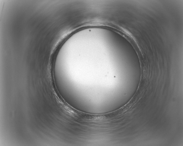 X0000056001464200509092033