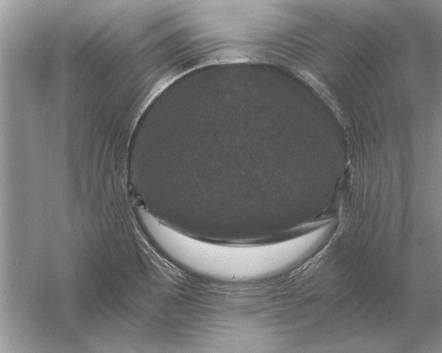 X0000056001465200509092033