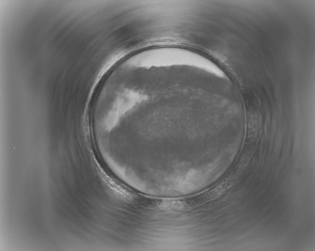 X0000056001466200509092033