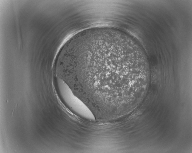 X0000056001467200509092033