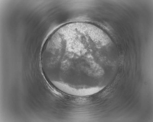 X0000056001470200509092033