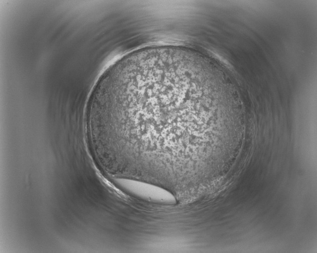 X0000056001471200509092033