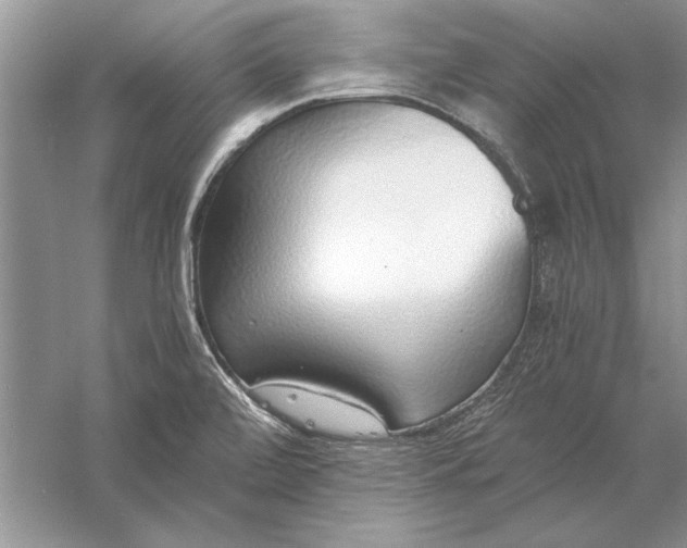 X0000056001472200509092033