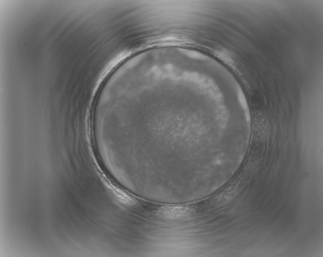 X0000056001474200509092033