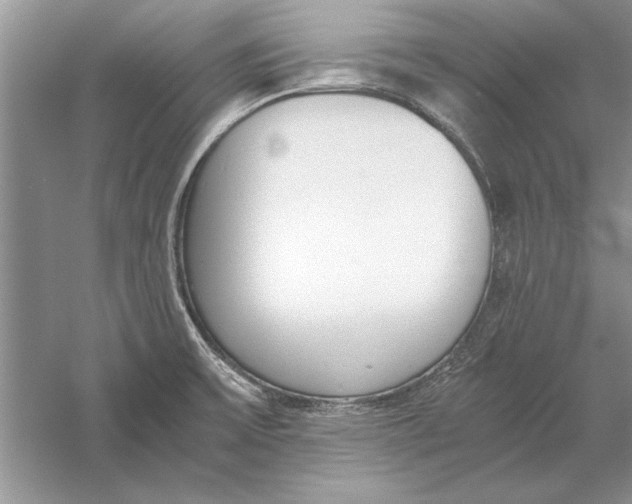 X0000056001475200509092033