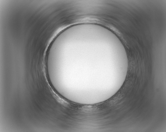 X0000056001478200509092033