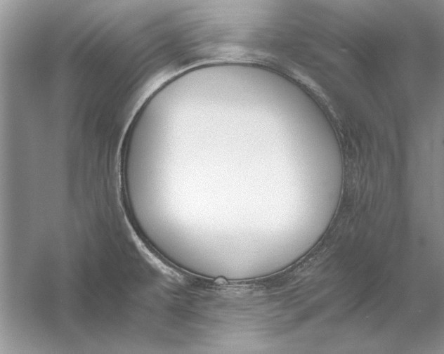 X0000056001479200509092033