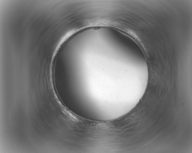 X0000056001480200509092033