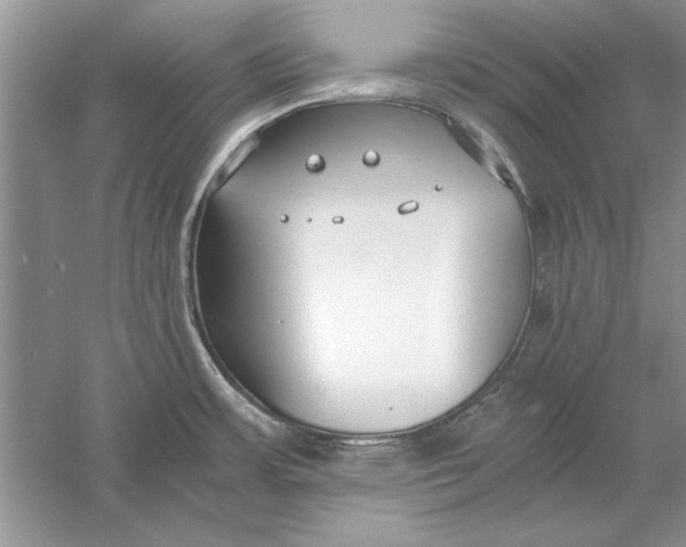 X0000056001483200509092033