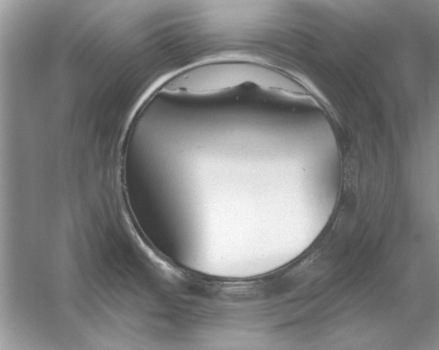 X0000056001484200509092033