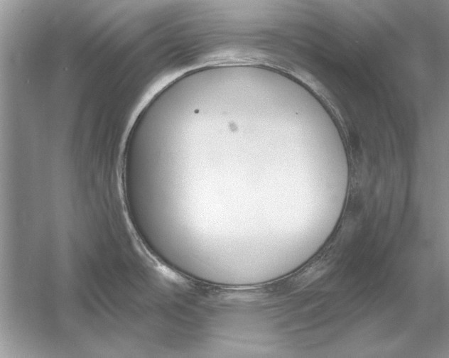 X0000056001486200509092033