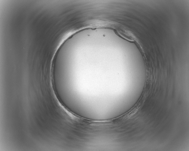 X0000056001487200509092033