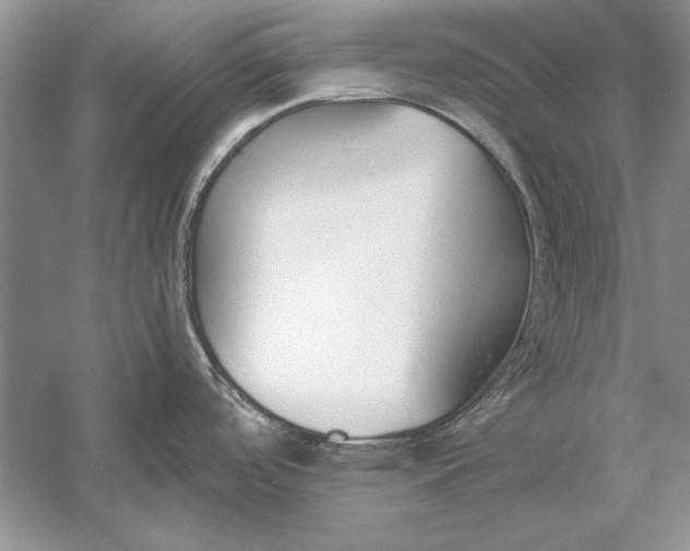 X0000056001488200509092033