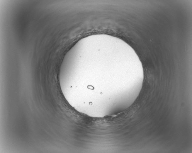 X0000056001489200509092032