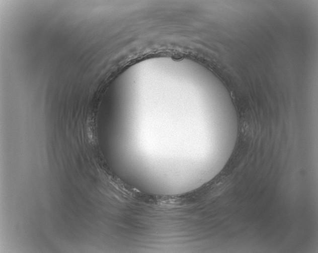 X0000056001490200509092032