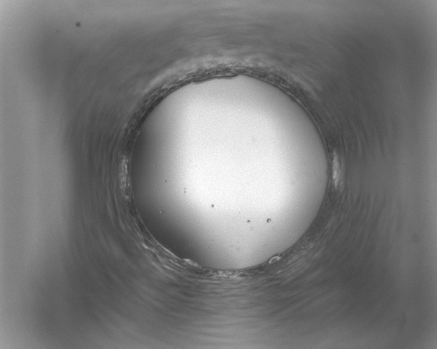 X0000056001492200509092032