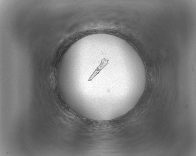 X0000056001493200509092032