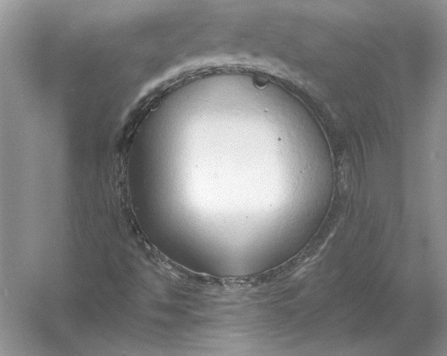 X0000056001494200509092032