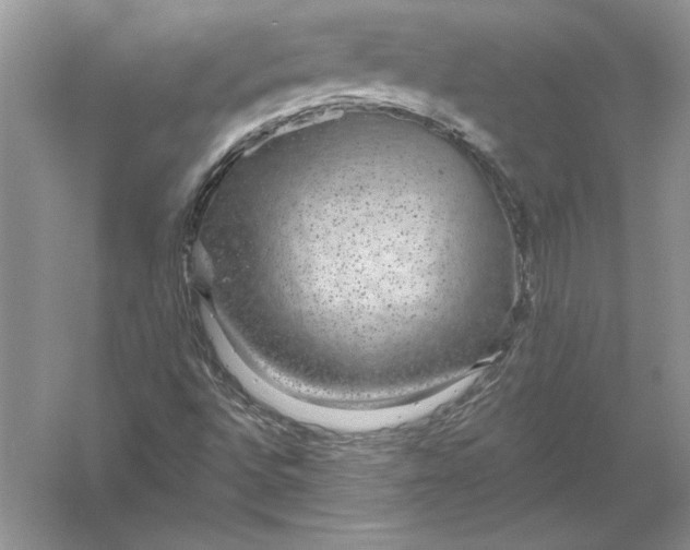 X0000056001496200509092032