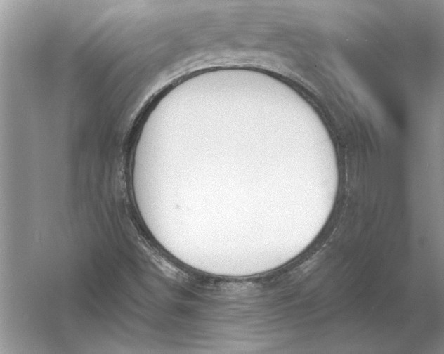 X0000056001498200509092032