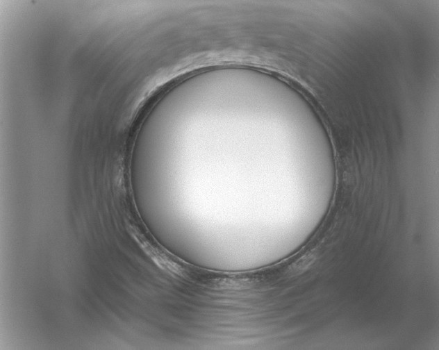 X0000056001499200509092032