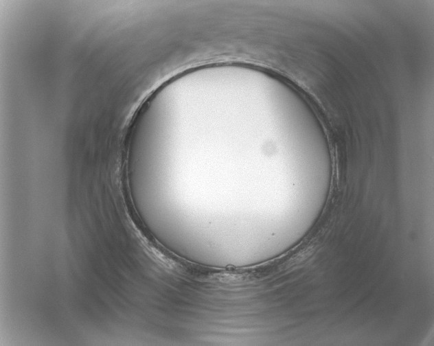 X0000056001500200509092032